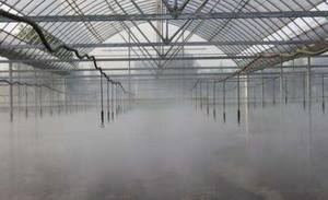 Serra Nebbia Sistema di Irrigazione - Product Image 6