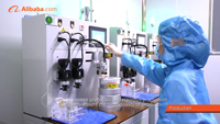 Equipo Veterinario VetB60 Analizador Clínico Automatizado de Mini Química Analizador Automático de Bioquímica Sanguínea