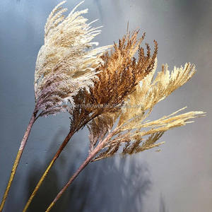 Arreglo de flores artificiales de seda para boda, el más vendido, <span class=keywords><strong>Phragmites</strong></span> <span class=keywords><strong>Australis</strong></span>, el más vendido de la tienda, el 2 de agosto de 2017 - Product Image 3