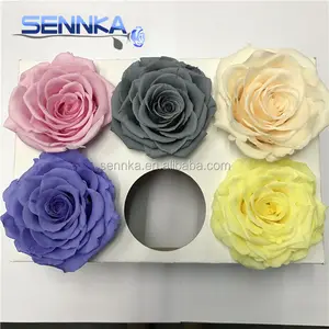 2020 Grade A Size 7-8 cm Red Real Touch Rose Head Roses Preserved