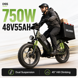 Bicicleta Eléctrica de Carga D55, Precio de Fábrica, E-MTB 48V55Ah 750W, Neumático Grueso de 20'', 240km de Autonomía, Bicicleta de Reparto OEM - Product Image 1
