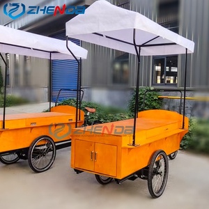 Kiosque de jus d'extérieur, stand alimentaire, camion avec panneau solaire, vitrine, chariot alimentaire - Product Image 6