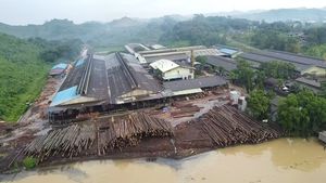 Contreplaqué Keruing d'Indonésie pour la décoration à la maison contreplaqué multicouche commercial prix usine 6mm 1220*2440 fabricant de contreplaqué - Product Image 2