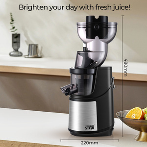 Chiến thắng Sao ST-1040 Chất lượng cao chậm máy ép trái cây Báo Chí lạnh máy ép trái cây vắt máy cho nhà bếp - Product Image 6
