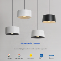 Lampe suspendue de restaurant moderne à longue portée avec LED à haut rendement lumineux 10W Lampe décorative de salon