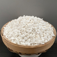 Perlite blanche de qualité supérieure, légère, respirante, stable et isolante, en gros, sac de sécurité pour plantes d'intérieur/extérieur, terreau de jardin