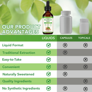 ArtoaLabs 60ml Extrato Líquido Natural de Raiz de Bardana Vegano Suplemento para Suporte Digestivo Gotas de Raiz de Bardana para Homens e Mulheres - Product Image 4