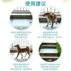 XCPET Pet Training Urine <b>Pad</b> L 60cmx60cm 40 <b>Pads</b> Breathable For Dogs - Product Image 4