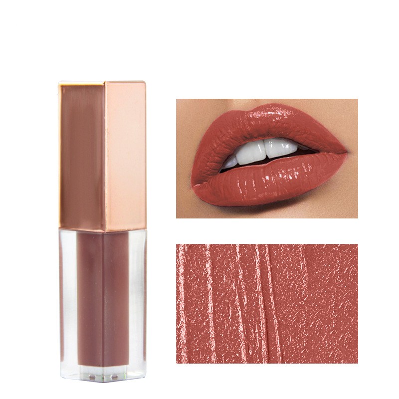 Your Own Brand Shiny Oem Mini Waterproof Wholesale Moisturize Long Lasting Tube Matte Factory Price Lip Gloss Private Label