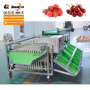 Máquina Clasificadora y Calibradora de Cerezas, Limones, Piñas y Aceitunas Industriales, con Rodillos Transportadores - Product Image 6