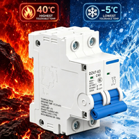 HUIDICH OEM ODM Interruptor Automático Miniatura de Cobre MCB AC 40KA SCB 3A Tipo C 2P 230V Li