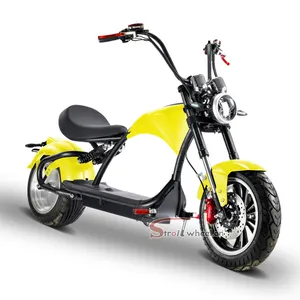 Citycoco scooters électriques adulte CEE moto électrique 60v 20ah batterie 2 grandes roues vélo électrique chopper