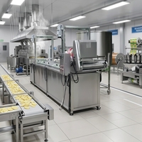 Instant Noodle Frying production line potato chips machine