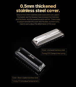 Armónica Trémolo Profesional de 10 Orificios, Cuerpo de Acero, Acabado Pulido, Tonalidad Personalizable en Do, Construcción Duradera, Marca OEM, Gran Venta - Product Image 6