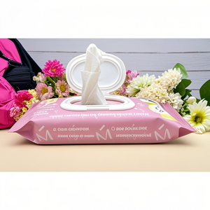 Toilettes portables à décompostage rapide, vente en gros d'usine pour l'exportation, <span class=keywords><strong>prix</strong></span> d'usine, sans produits chimiques agressifs, lingettes humides jetables - Product Image 3