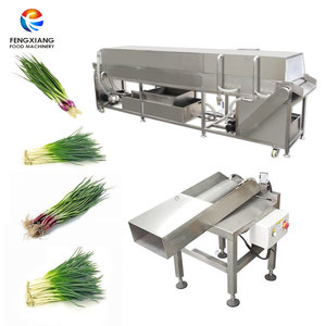 Macchina Commerciale per Pelatura e Lavaggio di Scalogno, Cipollotti, Germogli d'Aglio, Erba Cipollina e Cipolle Verdi - Product Image 1