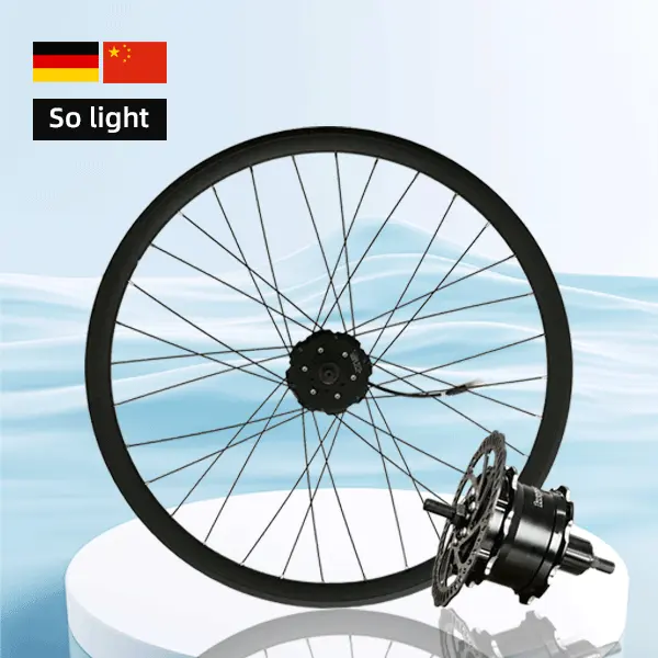 Tự làm 250W 24v33v36v phía sau Ebike motorwheel với bộ điều khiển xe đạp điện phụ tùng Phần 12 inch Ebike động cơ bánh xe