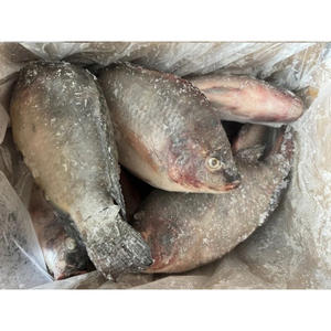 Poisson Tilapia IQF congelé en vrac Aliments IQF Pour Poisson Tilapia pour la vente en gros - Product Image 2