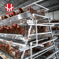 Cage automatique de type A pour poules pondeuses, équipement d'élevage avicole, poulailler galvanisé à chaud de grande capacité pour ferme avicole.