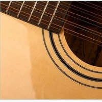 Guitare acoustique-électrique à douze cordes neuve, naturelle, guitares à 12 cordes, fond Sabiri