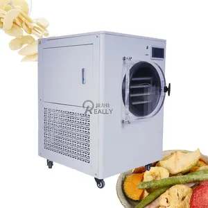High Quality Industrial Freeze Dryers For Sale