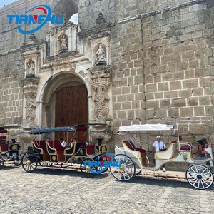 <span class=keywords><strong>Limousine</strong></span> fantastique/transport électrique touristique de <span class=keywords><strong>mariage</strong></span>/chariot Victoria de conte de fées pour le camping - Product Image 4