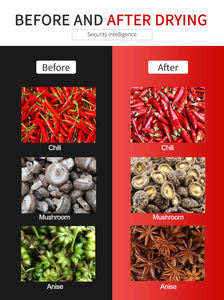 Horno de Procesamiento de Condimentos con Cámara de Secado Automática y Bandeja de Aire para Anís Estrellado, Precio Competitivo, Superventas - Product Image 3