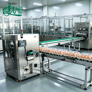 Lecteur et vérificateur <span class=keywords><strong>de</strong></span> codes <span class=keywords><strong>de</strong></span> traçabilité pour cartons d'œufs avec contrôle OCR et séparation des rabats pour paquets endommagés - Product Image 3