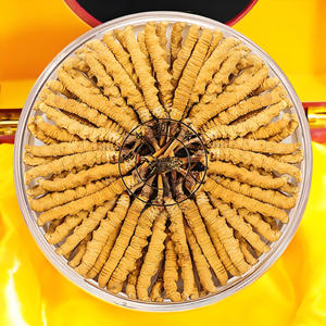 Kustom makanan kesehatan kering seluruh tanaman Cordyceps Sinensis dari Cina musim dingin cacing dan musim panas rumput Cordyceps Sinensis - Product Image 6