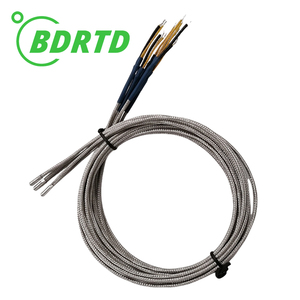 Nhà máy trực tiếp độ chính xác cao RTD PT100/pt1000 với ống PT nhiệt độ 100 sonser tùy chọn PT100 nhiệt độ Transmitter - Product Image 4