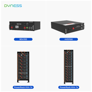 Système de stockage d'énergie en conteneur <span class=keywords><strong>Dyness</strong></span> Lithium Ion Battery Ess 48V 4,8 Kwh Bess - Product Image 6