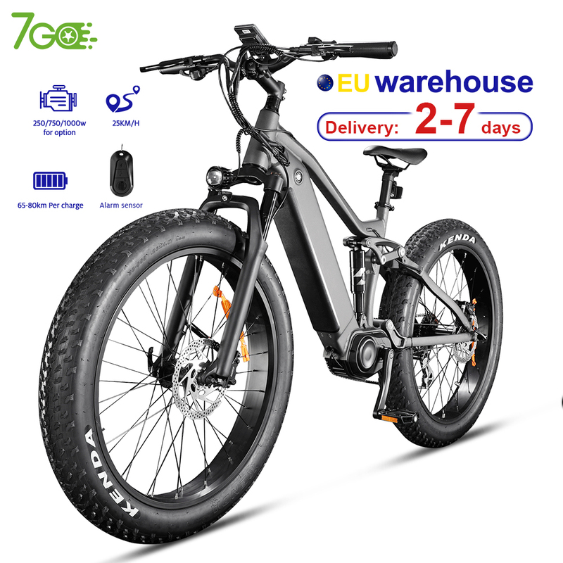 Urban Retro E Bike EU USA
