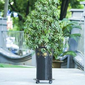 <span class=keywords><strong>Support</strong></span> rond en métal pour plantes Mover on Wheels Flower <span class=keywords><strong>Pot</strong></span> Holder - Product Image 5