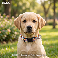 Colliers et laisses pour chiens durables, respirants et réglables pour la promenade en extérieur (vente en gros)