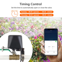 Contrôleur intelligent Wi-Fi Tuya/Wale/OEM pour vanne d'eau/gaz, compatible Tuya, prend en charge le contrôle de la minuterie et la liaison avec d'autres appareils intelligents
