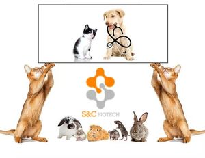 수의학 장비 개 디스템퍼/간염 콤보 항체 신속 검사 키트 - Product Image 5