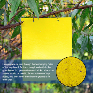 Piège collant jaune solide double face étanche pour le contrôle des ravageurs <span class=keywords><strong>de</strong></span> jardin courants - Product Image 1