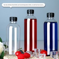 Bouteille en Plastique Jetable Transparente de 500 ml avec Bouchon à Vis et Pompe pour Soupe de Prunes, Eau Minérale, Thé au Lait, Jus et Autres Boissons