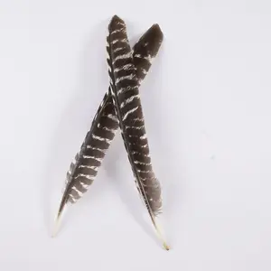 Wholesale 30-40cm Nature Quill Turkey Pointer Wing Feather Female DIY Turkey Quill Wing Feather