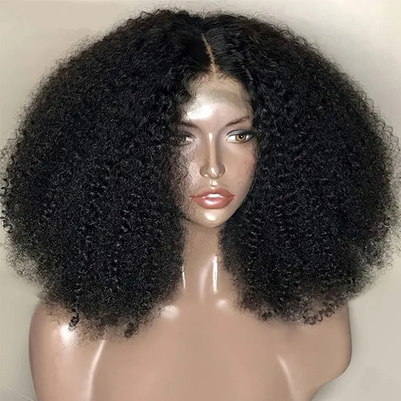 Bulk Sale Cheap Raw Brazilian Virgin Human Hair Lace Front Wigs For Black Women 13x4 HD Transparent Afro Kinky Curly Wig