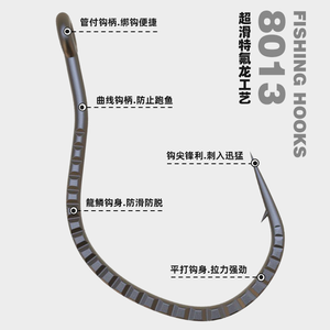 Lot de 20 hameçons pour leurres en sachet 8013/8003, hameçons renforcés pour leurres souples Wacky Loach et vers pour poisson mandarin - Product Image 5