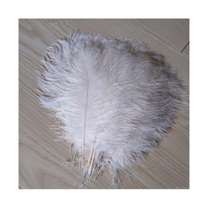 Venta al por mayor barato 70-75cm plumas de avestruz blancas a granel patrón lavado decoraciones para bodas - Product Image 1