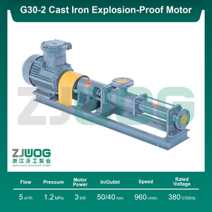Bomba <span class=keywords><strong>de</strong></span> tornillo simple ZJWOG G30-2G, admite personalización según planos proporcionados. - Product Image 1