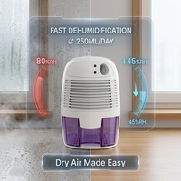 Déshumidificateur d'air domestique, absorbe l'humidité, mini déshumidificateur de 500 ml pour la chambre, la salle de bain