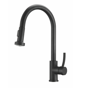 Sang trọng hiện đại SUS304 linh hoạ<span class=keywords><strong>t</strong></span> xử lý đơn gốm Lõi van lỗ duy nhấ<span class=keywords><strong>t</strong></span> khách sạn sử dụng đồng hồ đo Vòi Nước Nhà Bếp - Product Image 4