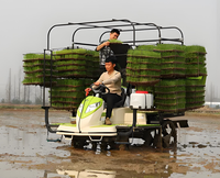 Machine de plantation de riz rangées de transplanteuse de riz agricole 2ZPY-13D à commande automatique en option