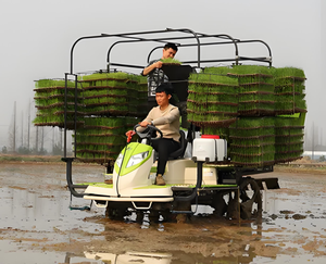 Машина для посадки риса с автоматическим управлением 2ZPY-13D сельскохозяйственные ряды для пересадки риса опционально - Product Image 3