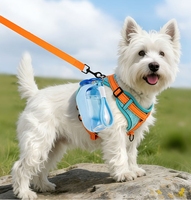 Bouteille d'eau pliable portable professionnelle pour animaux de compagnie, en silicone, pour la promenade des chiens et des chats