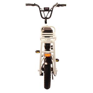 RaiderRover-40F double batterie 20 pouces <span class=keywords><strong>750W</strong></span> vtt vélo électrique hybride vélo électrique à gros pneus pour adultes - Product Image 5