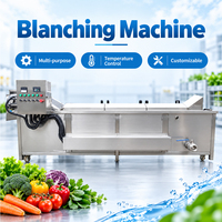 Fabrieksdirecte verkoop Volledig automatische fruit- en groenteblancheermachine Pinda-blancher Champignon-blancher